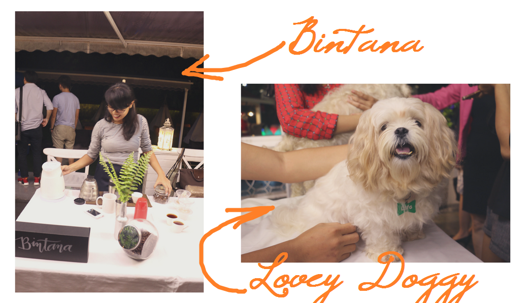 FWD Orange World lifestyle rewards app launch - la vie cebu - lovey doggy dog cafe and bintana - ching sadaya blog