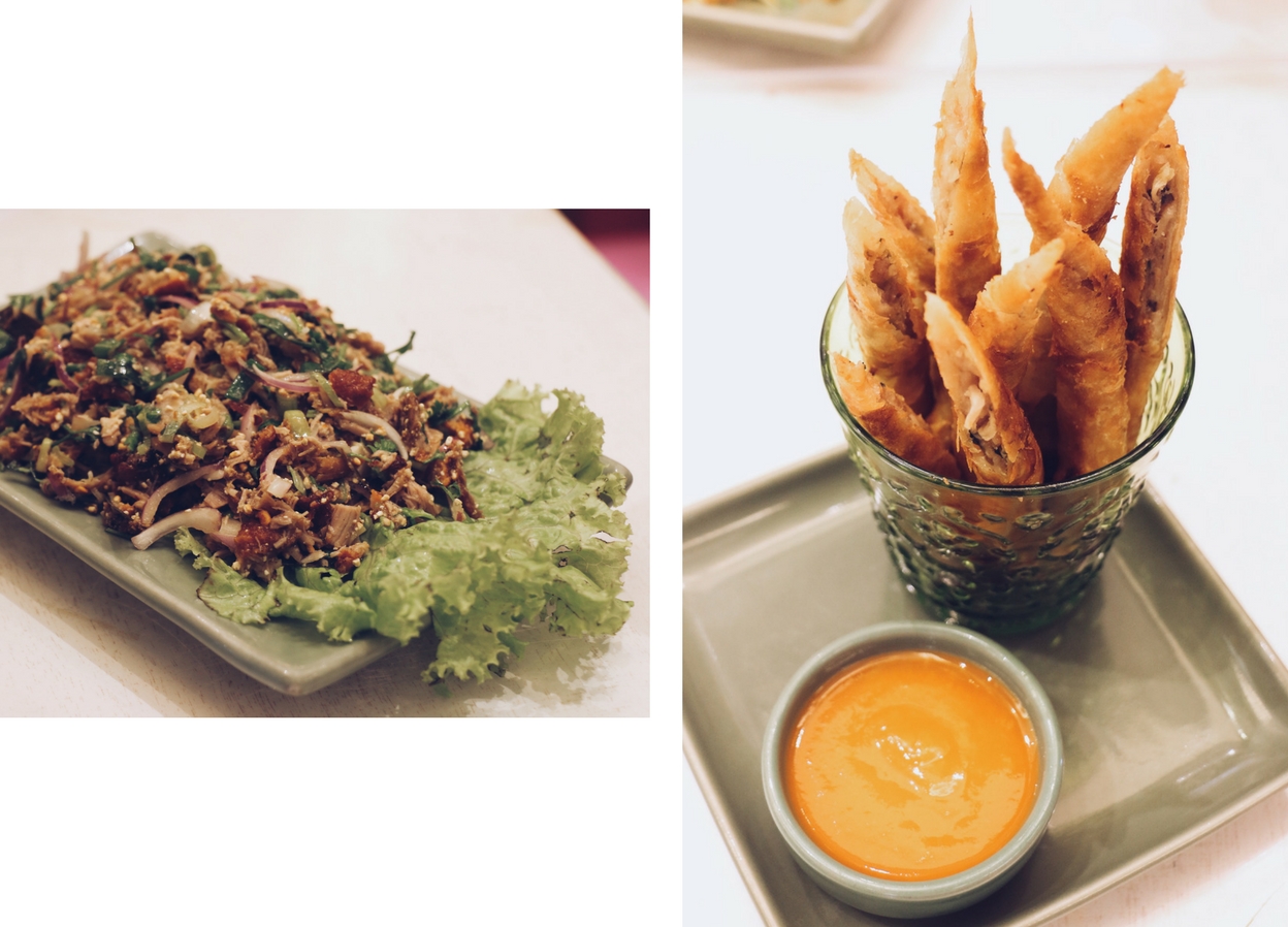 Soi - Minced roasted duck salad and Fried spring rolls - SM Seasise City Cebu - Ching Sadaya blog
